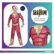 Shazam Red jelmez 6-8 év