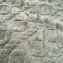 Léda fonatos, szürke