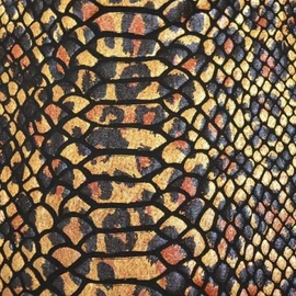 Boa
