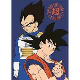 Dragon Ball Duo polár takaró 100x140cm