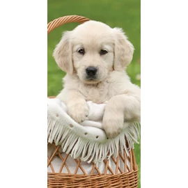 Kutyás Cart fürdőlepedő, strand törölköző 70x140cm