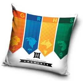 Harry Potter Whichcraft párnahuzat 40x40 cm