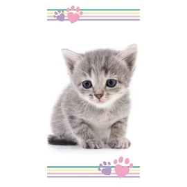 Cicás Colour fürdőlepedő, strand törölköző 70x140cm