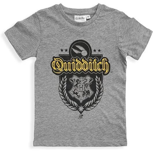 Harry Potter Quidditch Grey gyerek rövid póló, felső 12 év / 152 cm