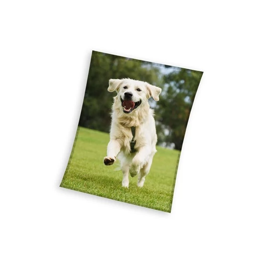 Kutyás Happytail Retriever coral fleece polár takaró 150x200cm