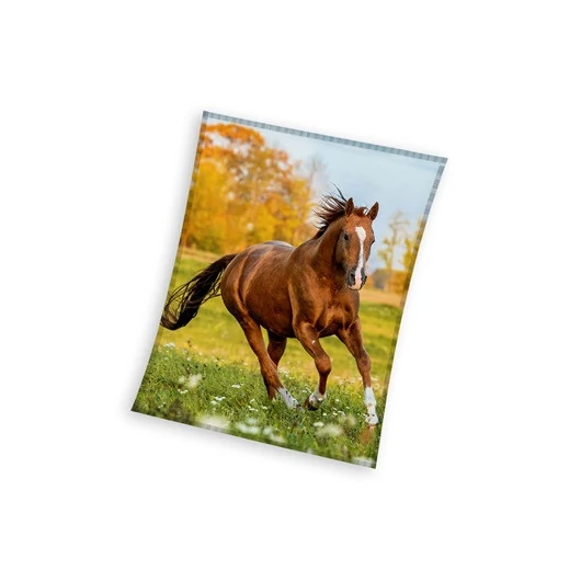 Lovas Gallop coral fleece polár takaró 150x200cm