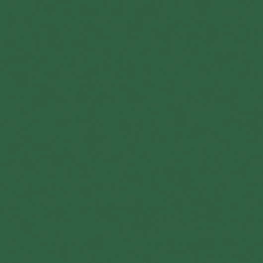 Palack zöld Maki szalvéta 20 db-os 33x33 cm