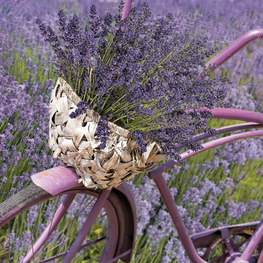 Levendula Bicycle szalvéta 20 db-os 33x33 cm