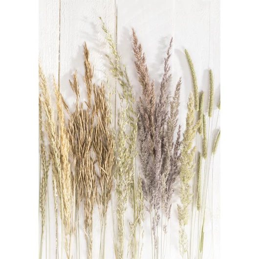 Természet Golden Harvest A/4 gumis mappa
