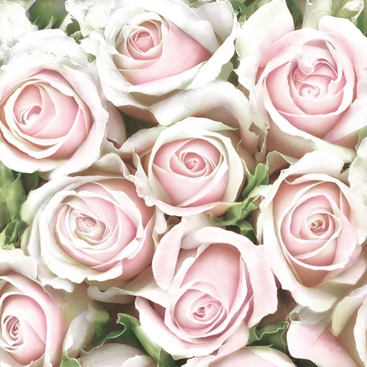 Rózsa Subtle Light Pink szalvéta 20 db-os 33x33 cm